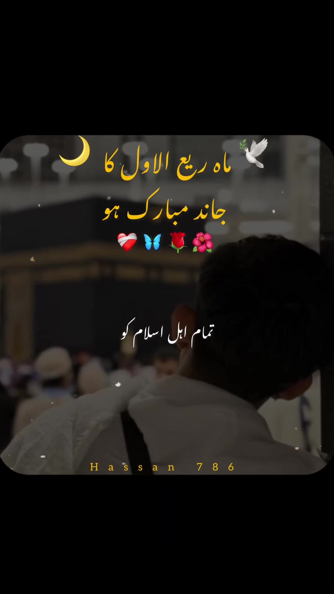 @Hassan 786