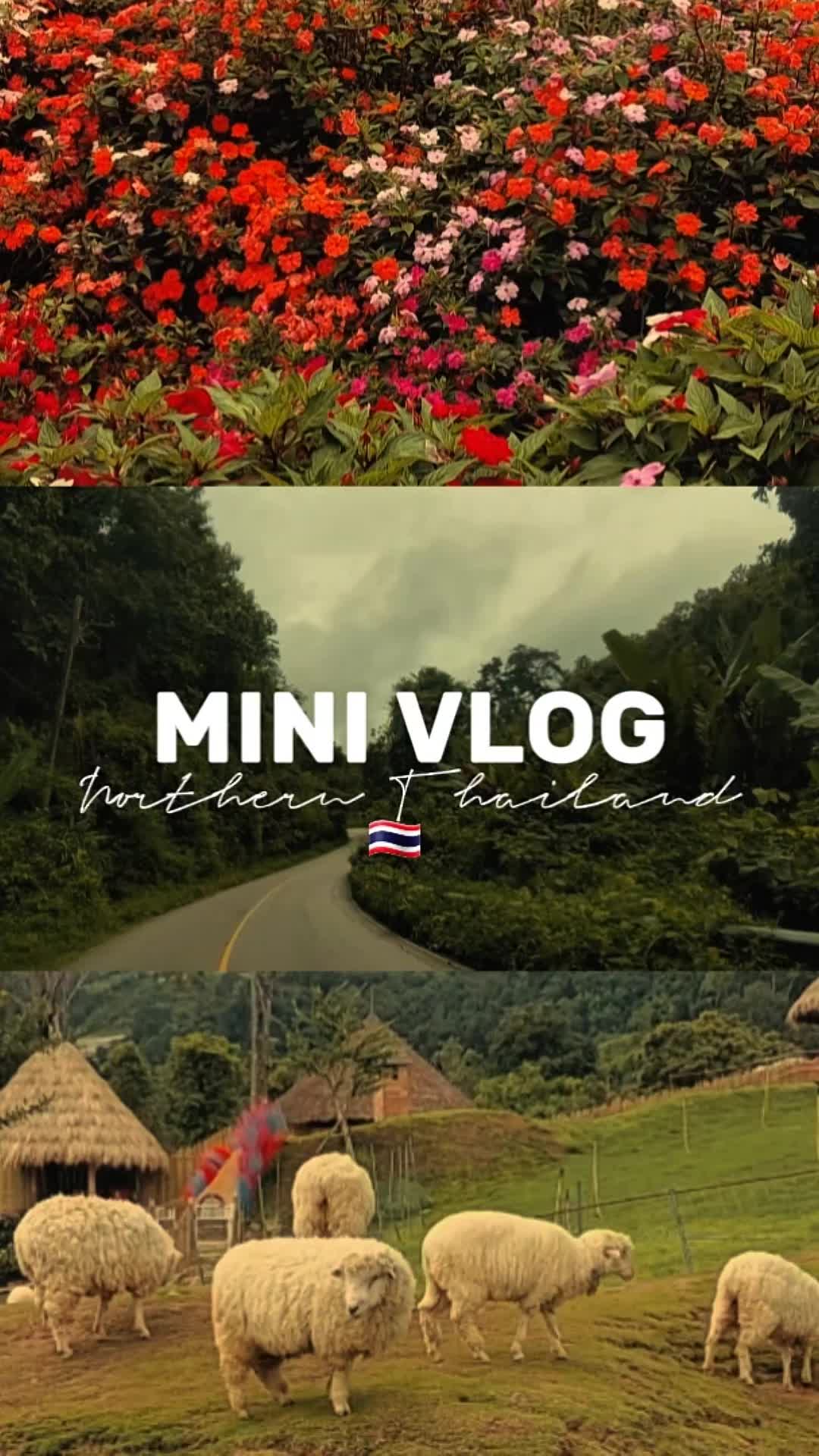 @Rose🌹🇵🇭 🇹🇭