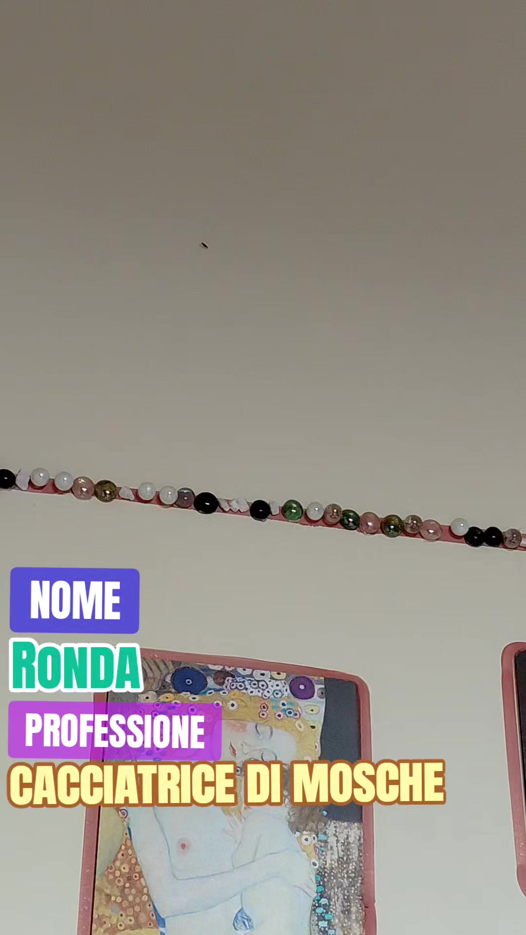 @Elisa🐶Ronda