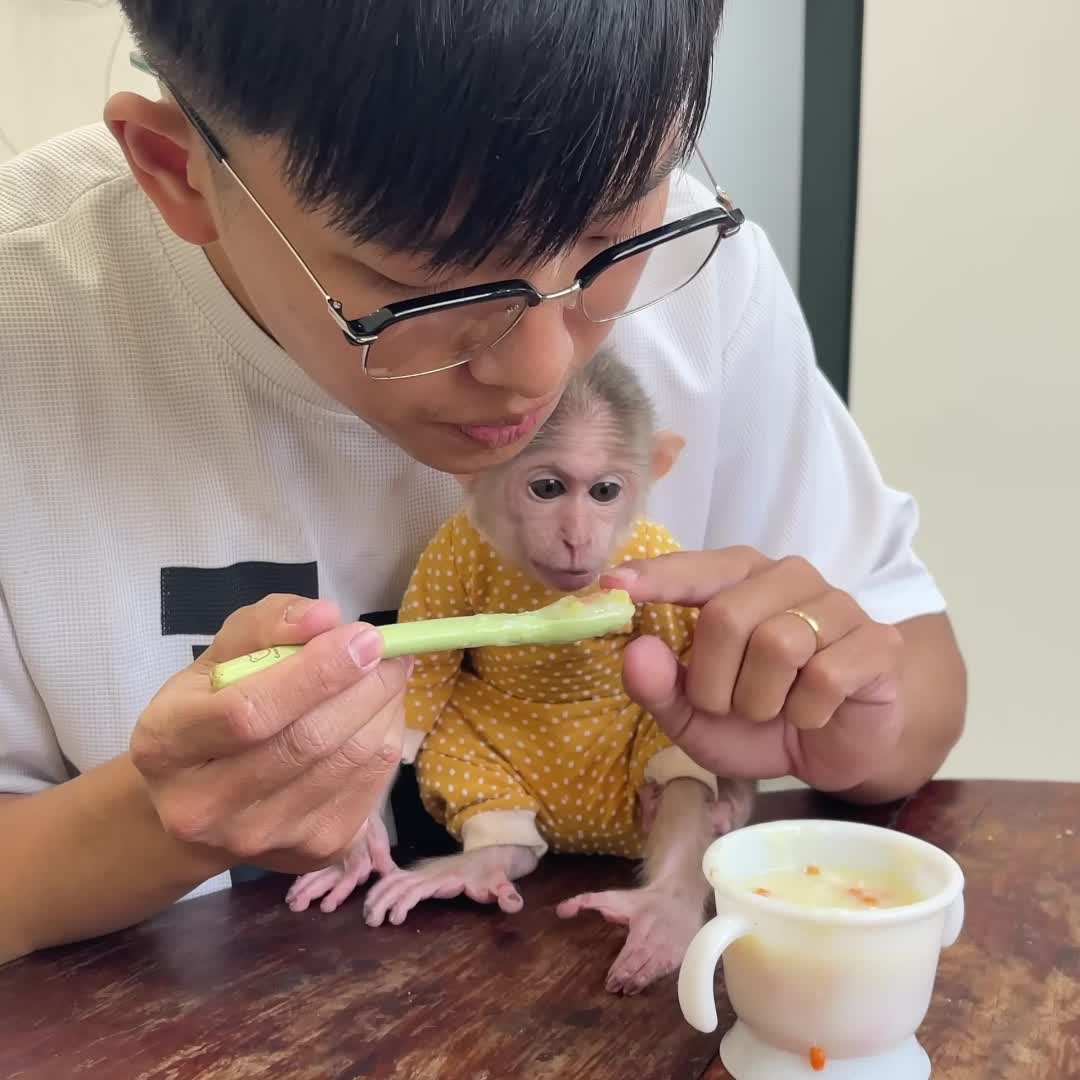 @Monkey TP
