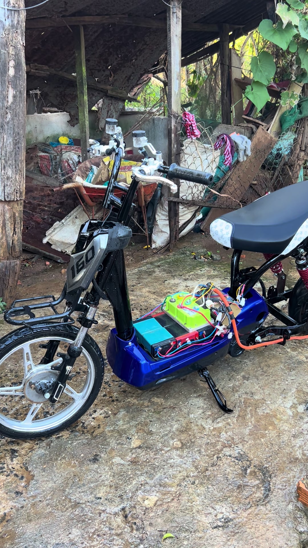 @Gin chạy si