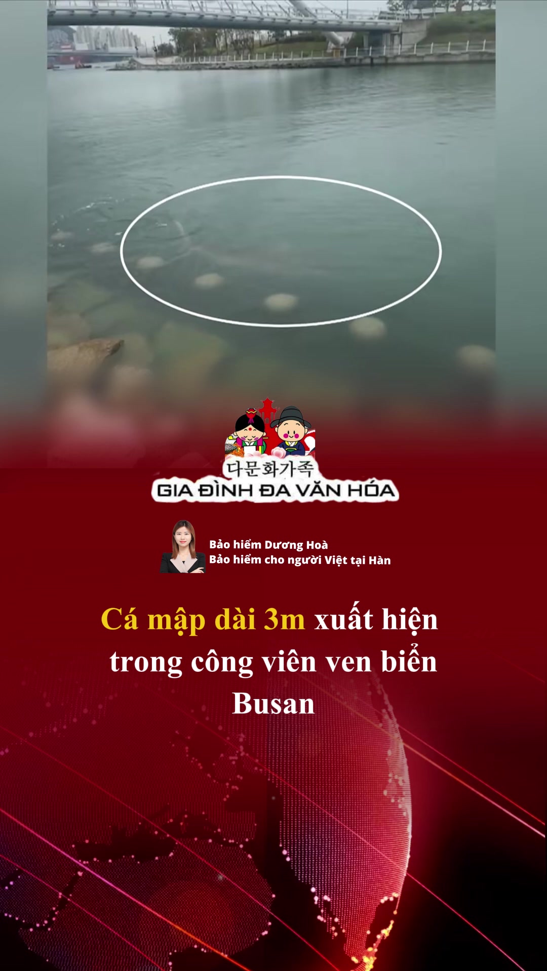 @다문화가족 - GIA ĐÌNH ĐA VĂN HÓA