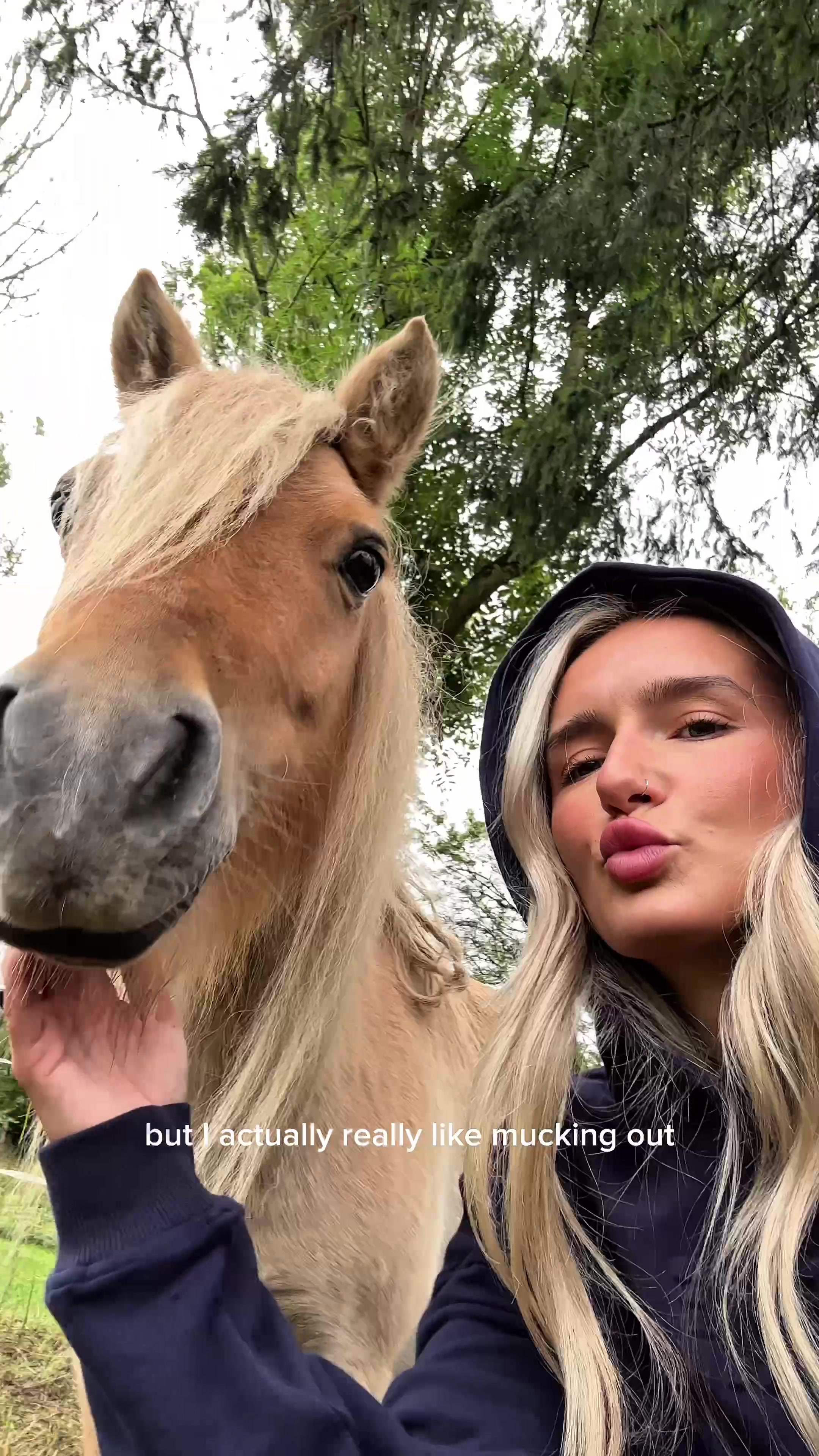 @BlackHeartEquestrian