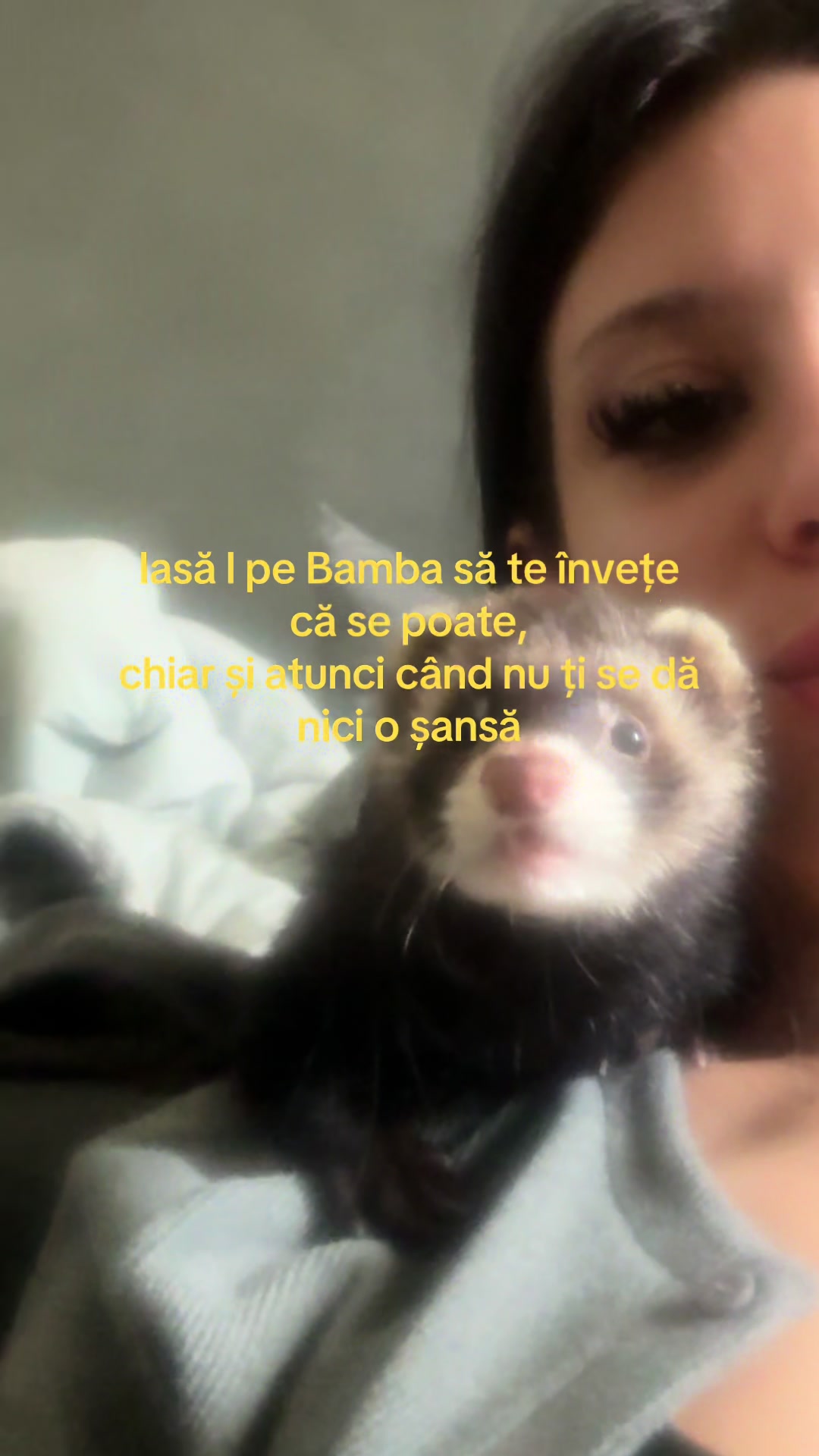 @dxdelia