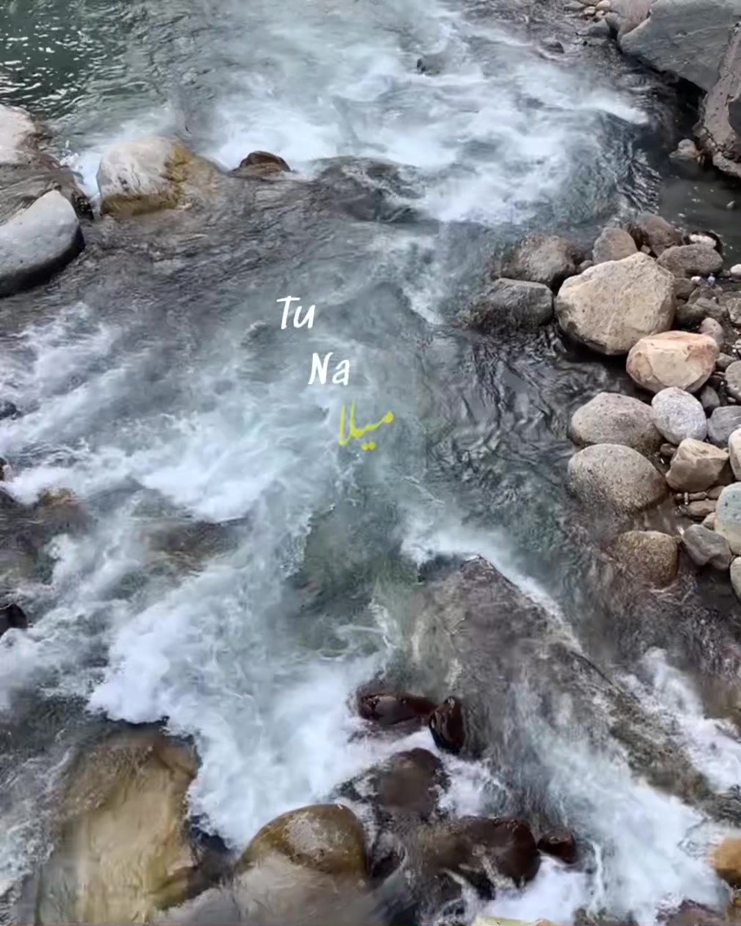 @ʟᴏꜰɪ ᴅʀᴇᴀᴍꜱ