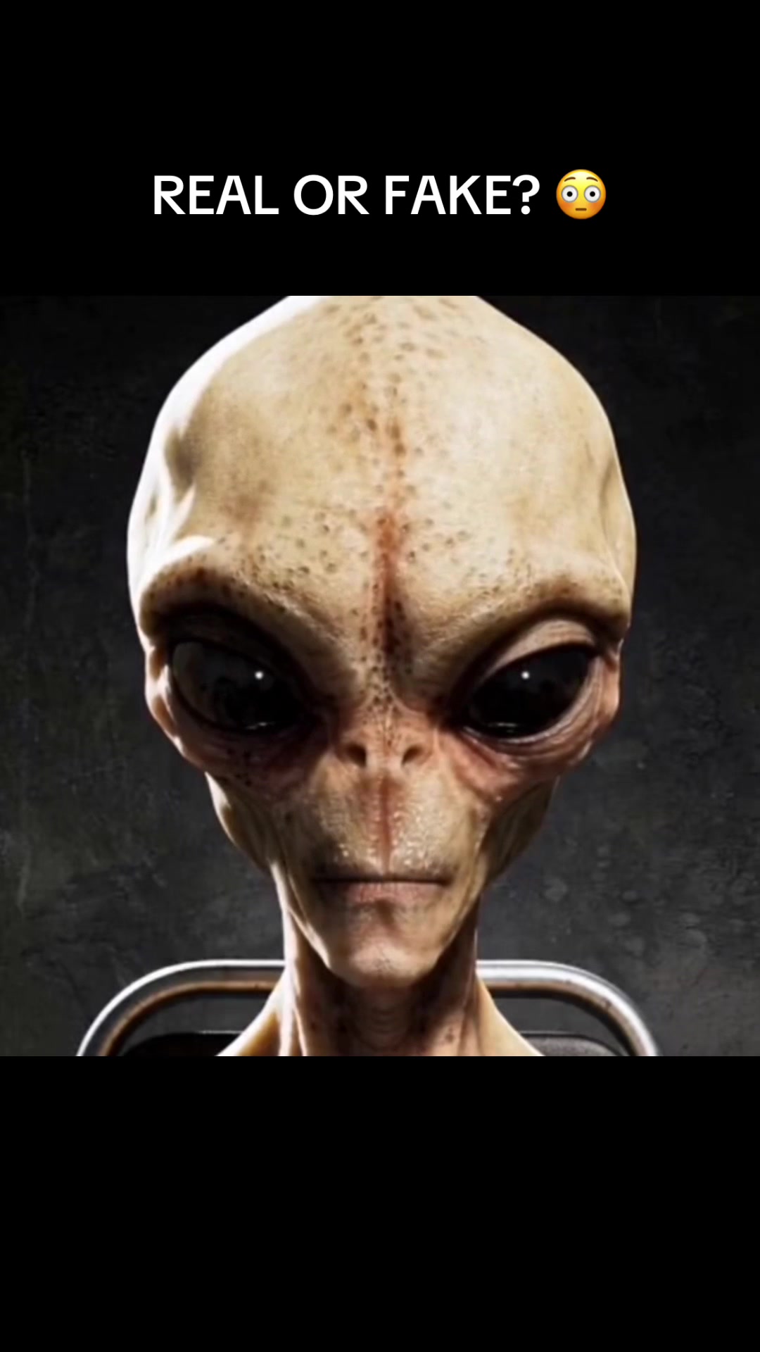 @alienimpact