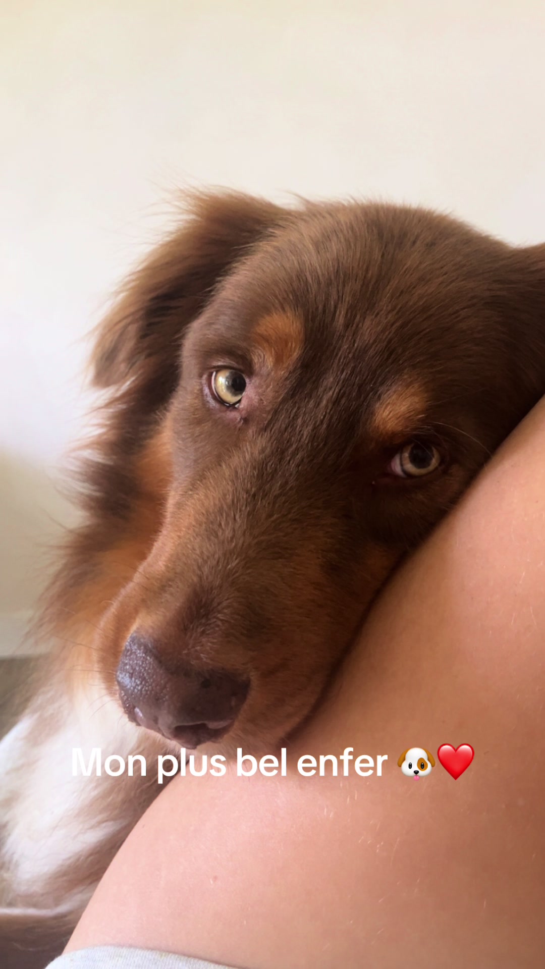 @lucebrl