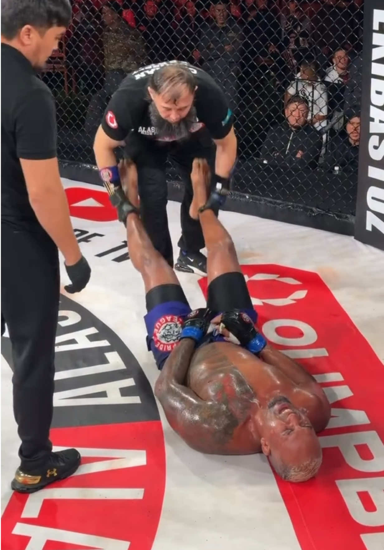 @FightingLab