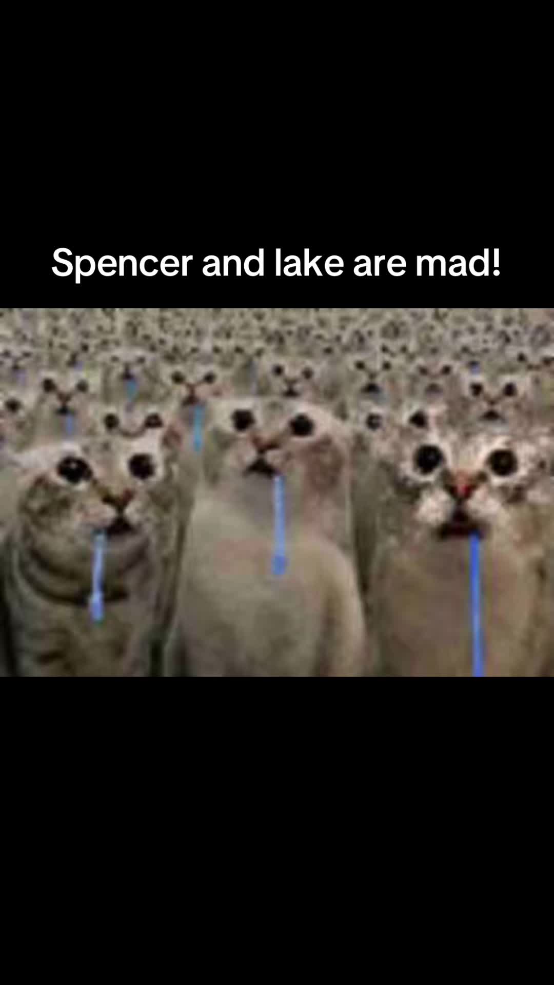 @dvc.leaker