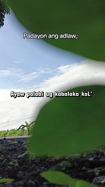 @KOL J.