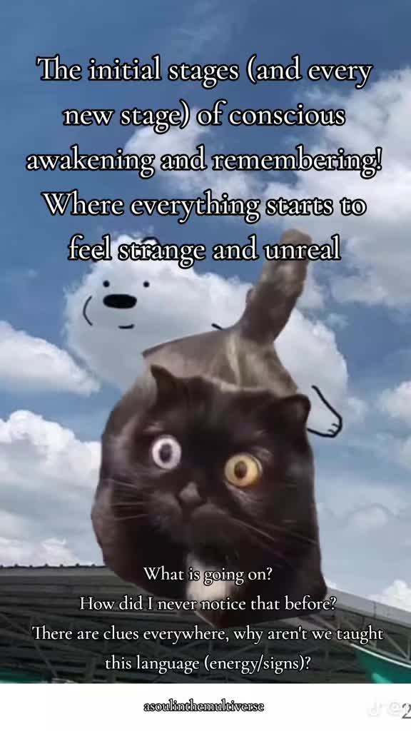@A Soul in the Multiverse