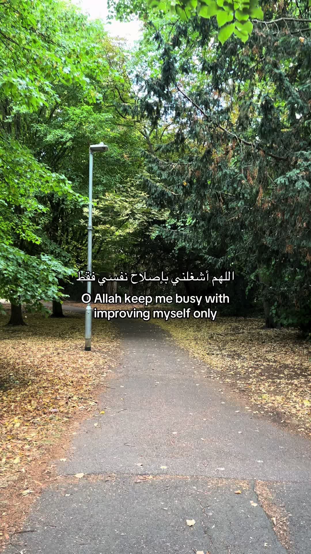 @﷽