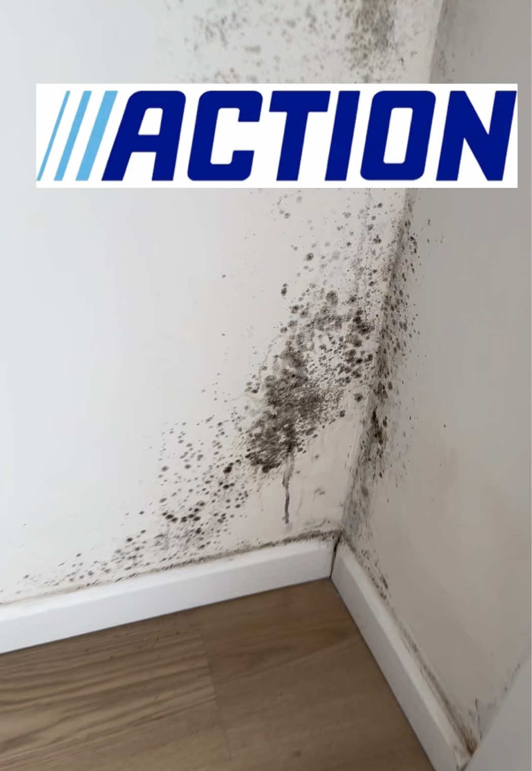 @actionBelgium