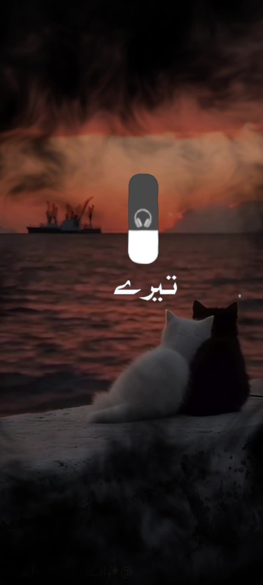 @hayya