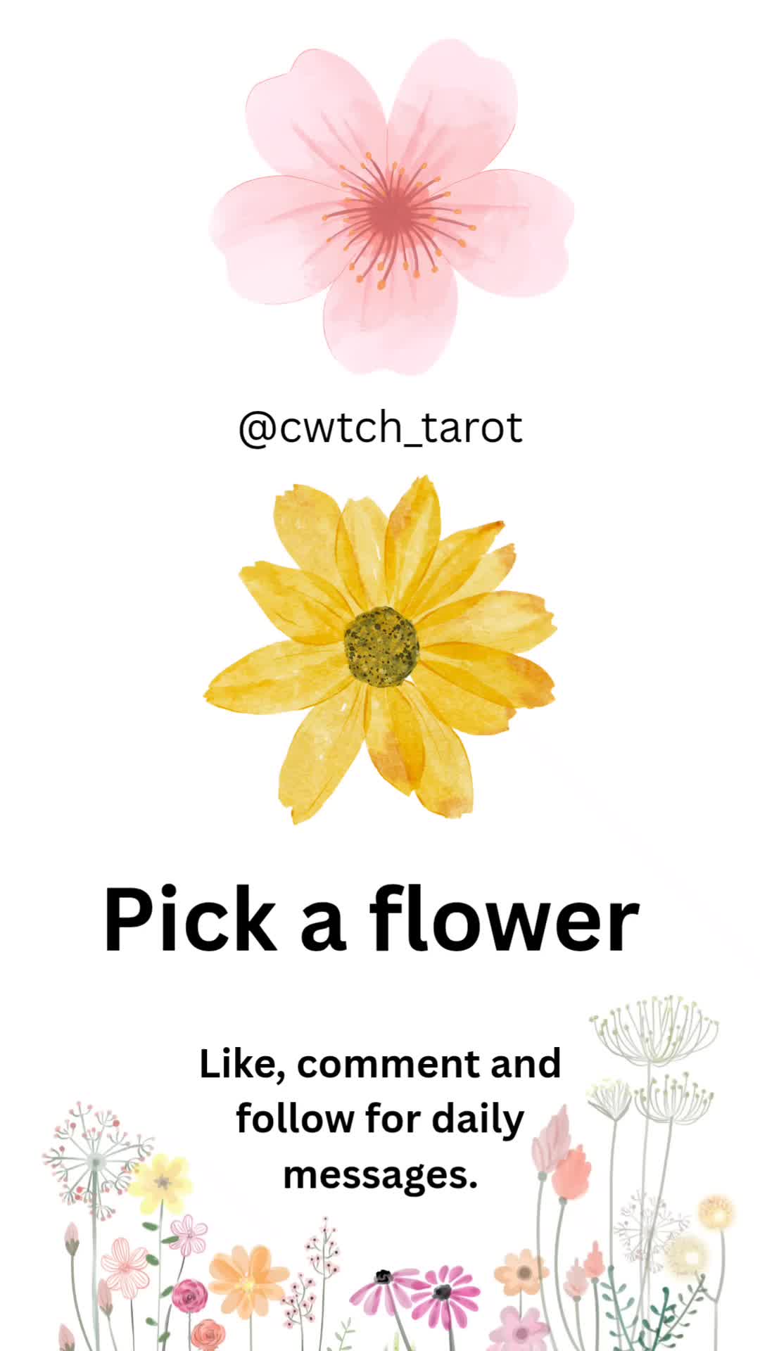 @Cwtch Tarot (Jayne)