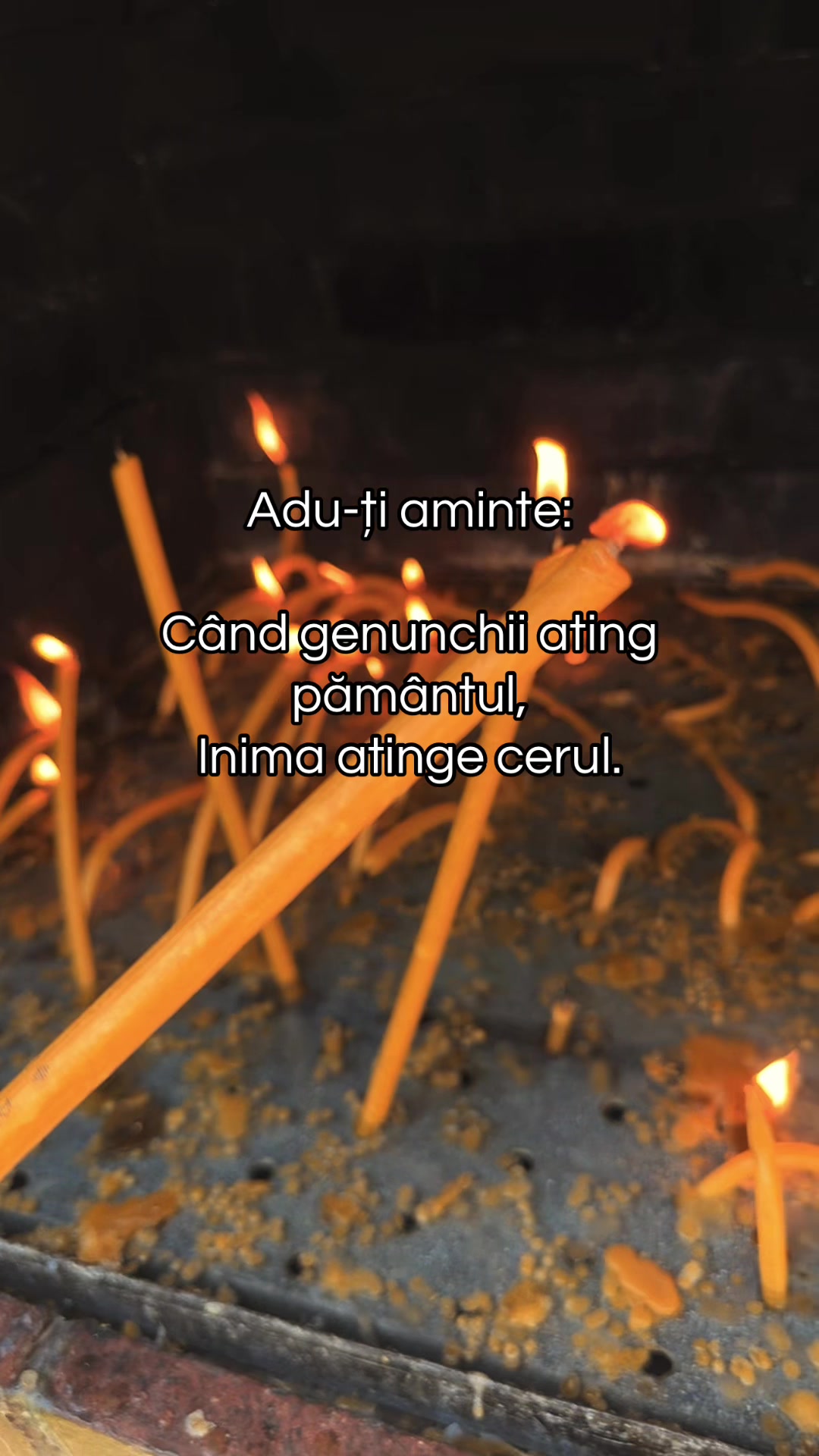 @Nițu Cristina-Maria