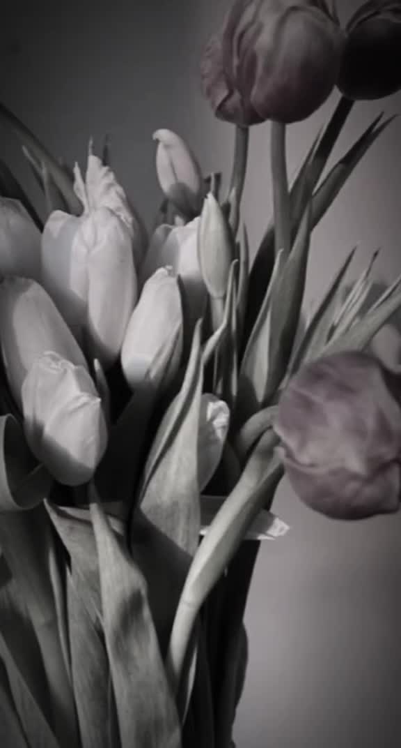 @عاشـقتᬼ❥᭄🦋᭄❥القرآن🦋