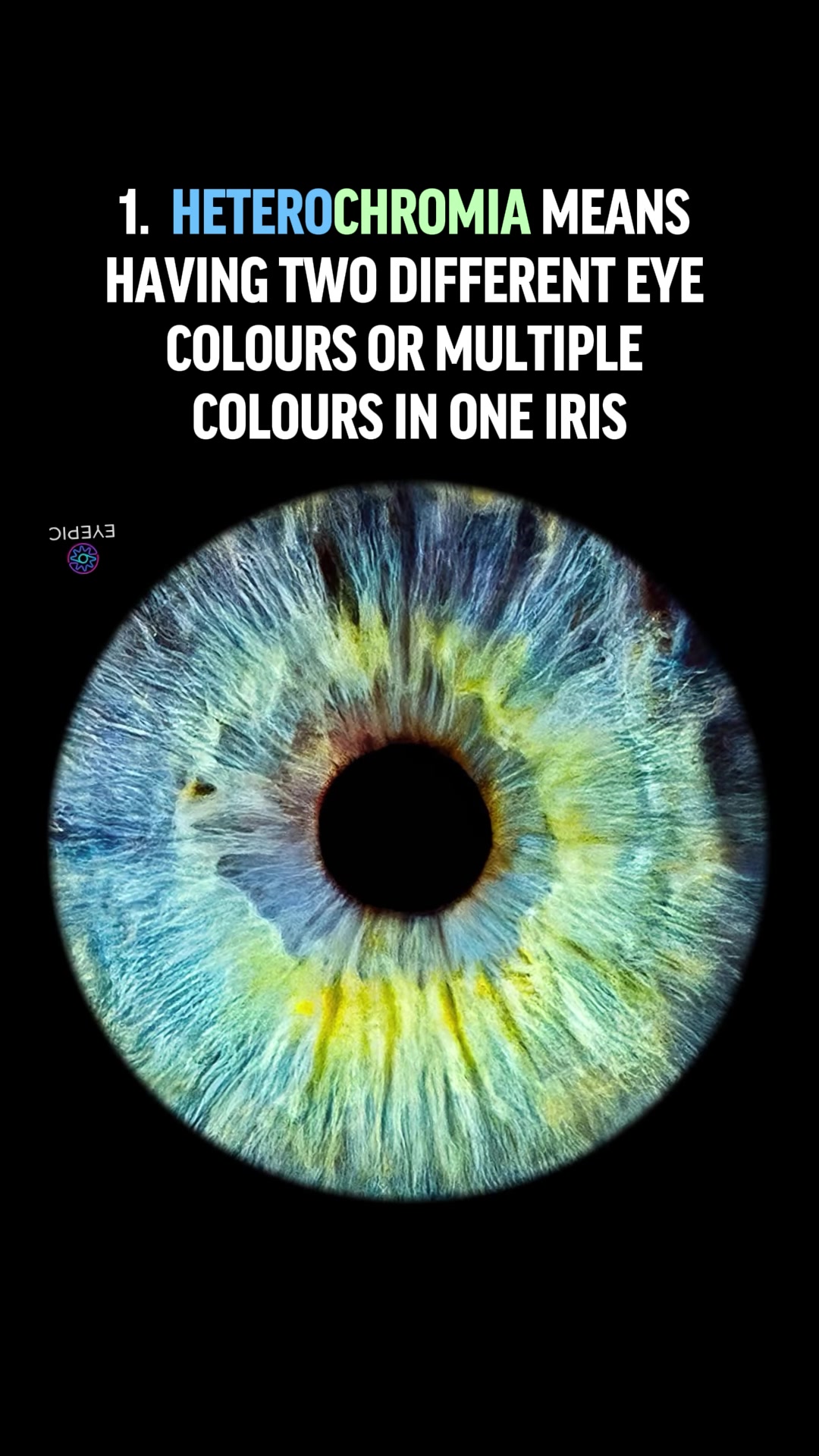 @Eyepic