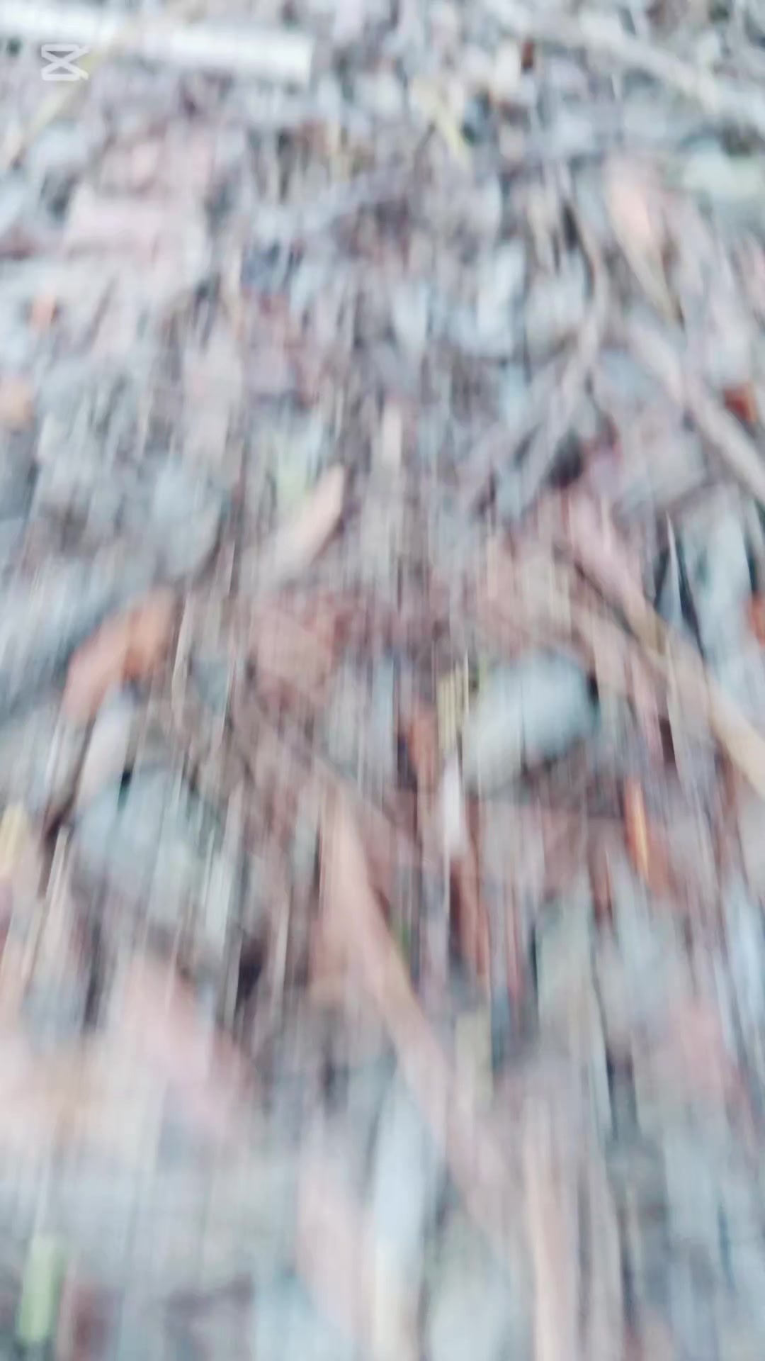 @💎 کشمیری 💎