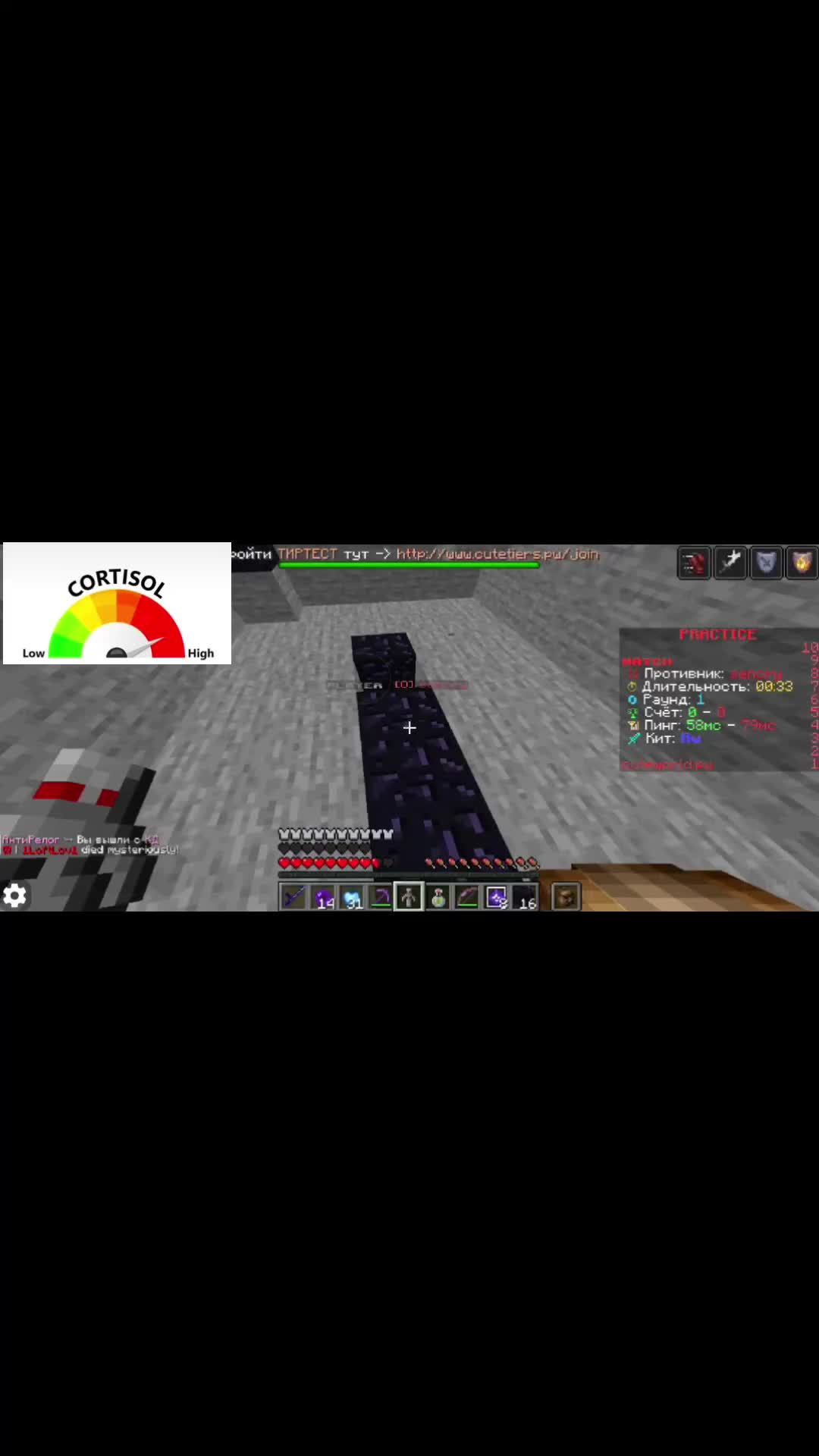 @LILpEEp_foldcraft(pojav)