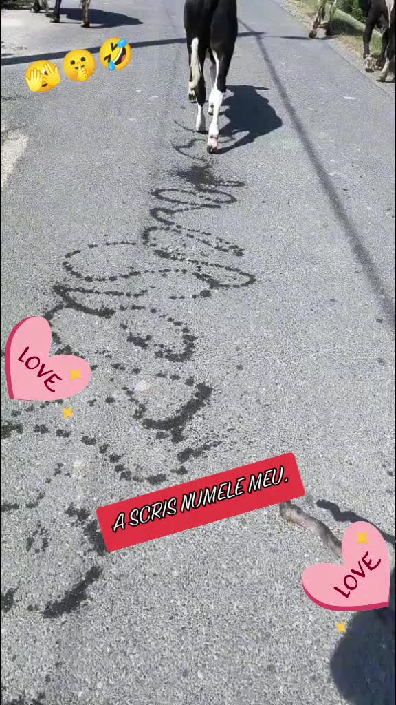@💜Lo❣️ve💜