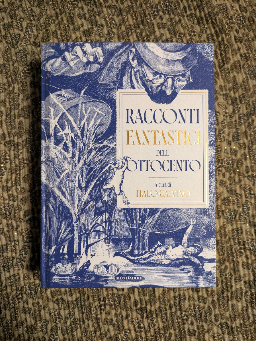 @b_books_comfortzone