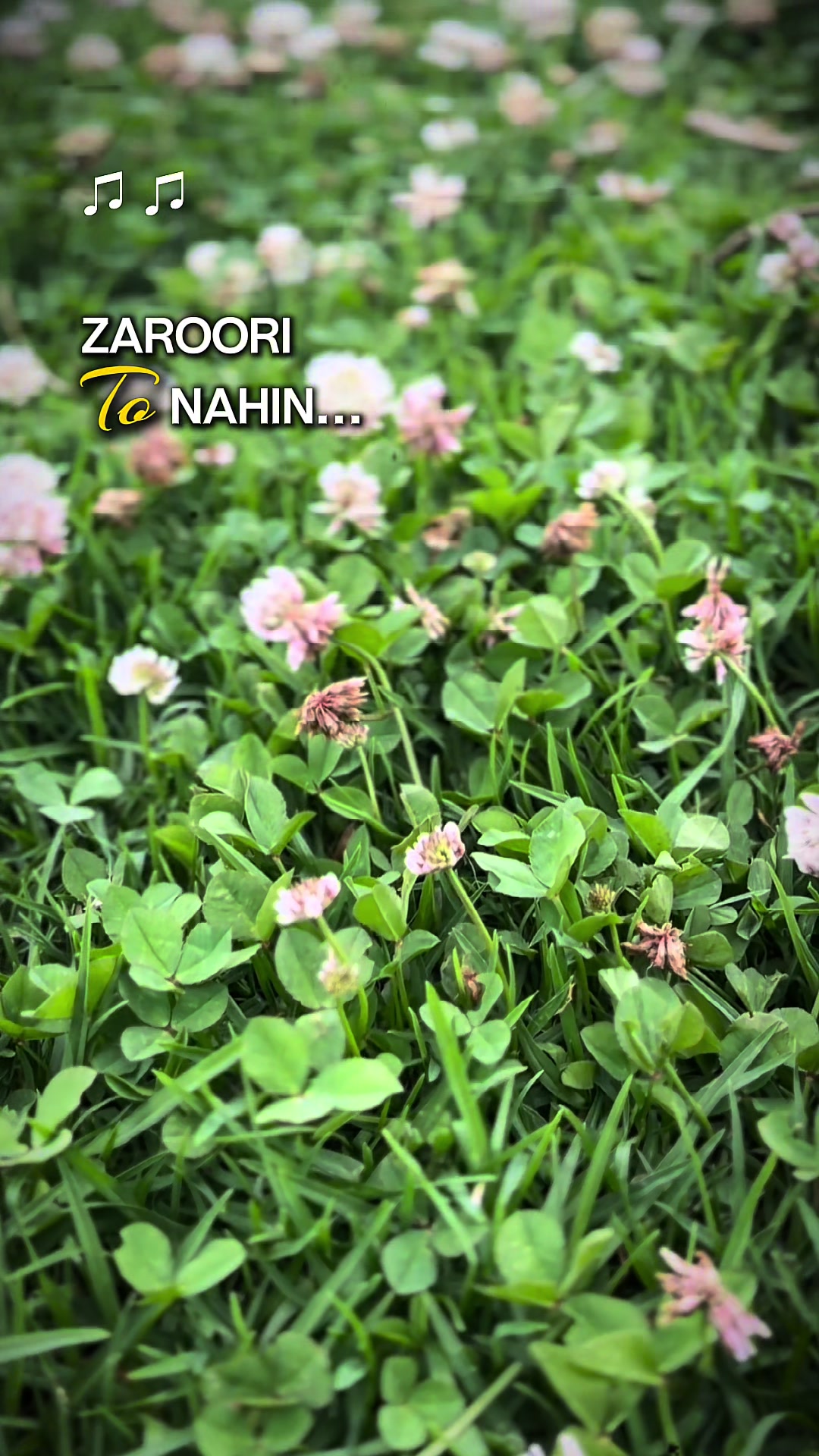 @AAROHAN
