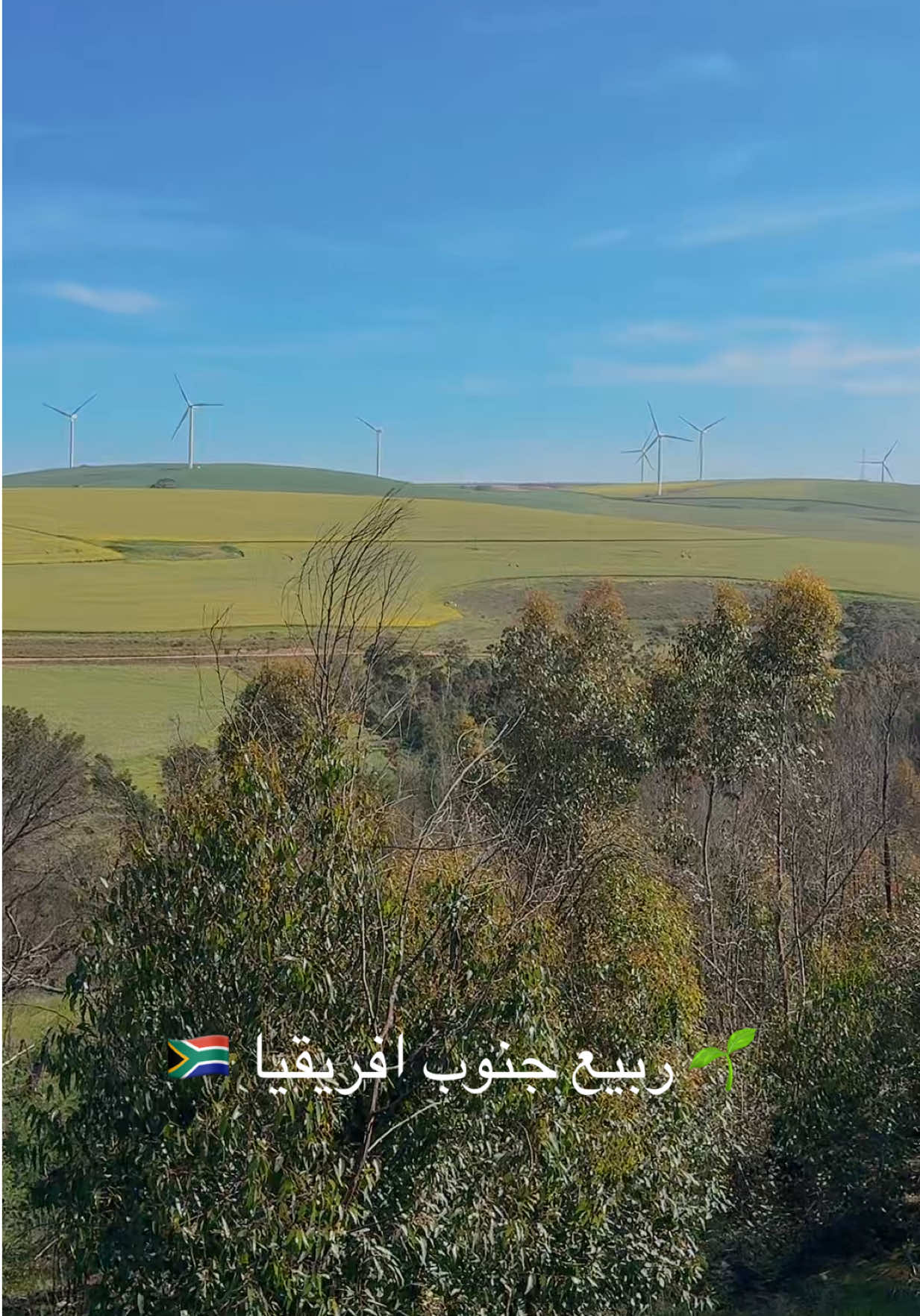 @هاني الرويلي