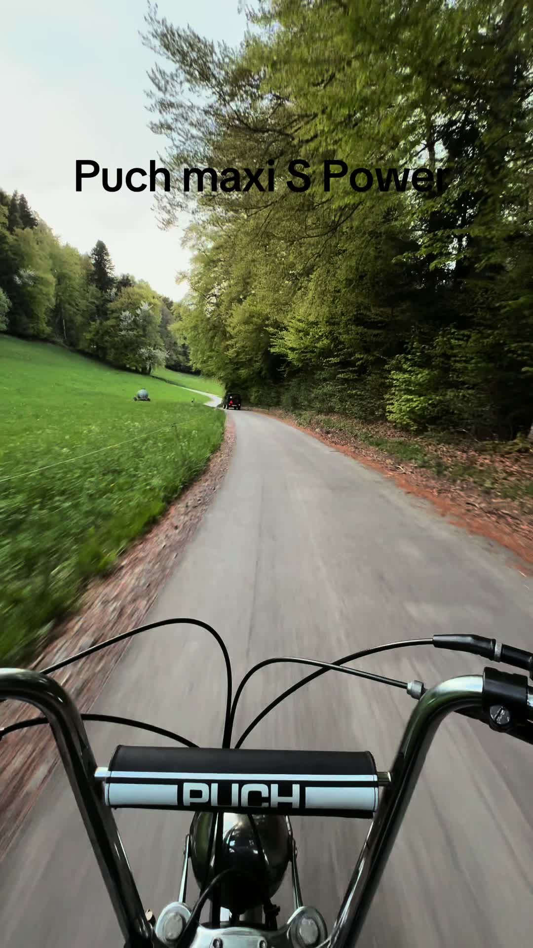 @Black_Puch_swiss