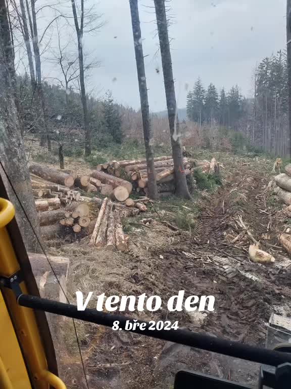 @🌲🌲Prosťě Fidla🤷♂️🤷♂️🌲🌲