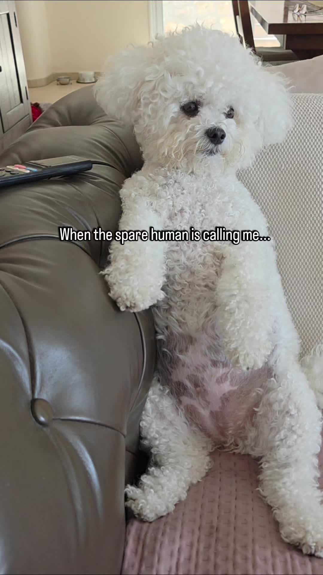 @Luna
