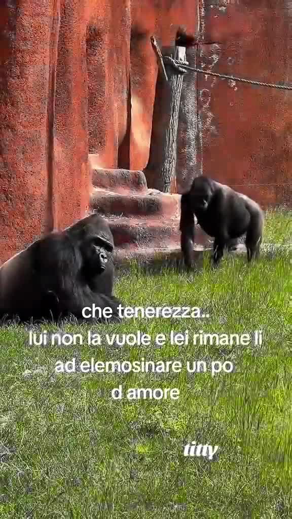 @tiziana