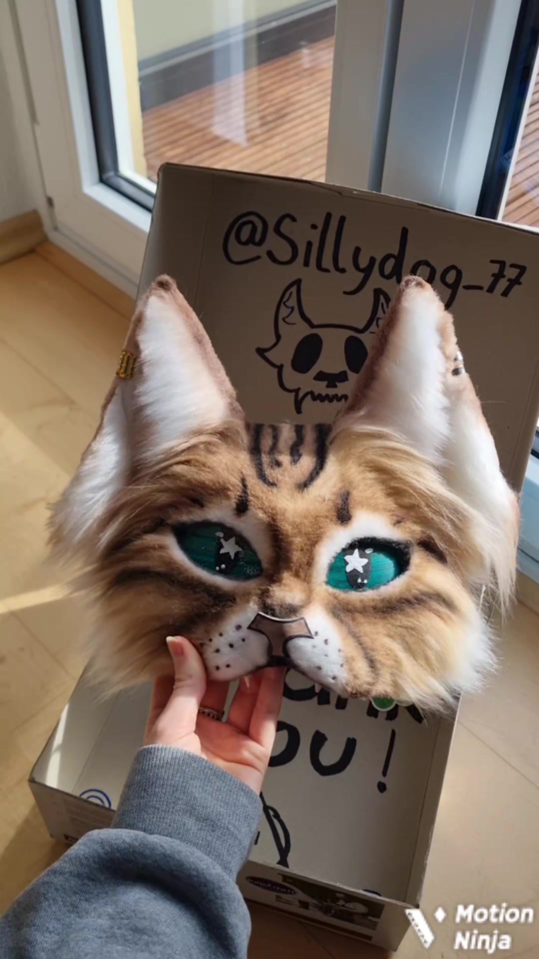 @☆sillydog☆