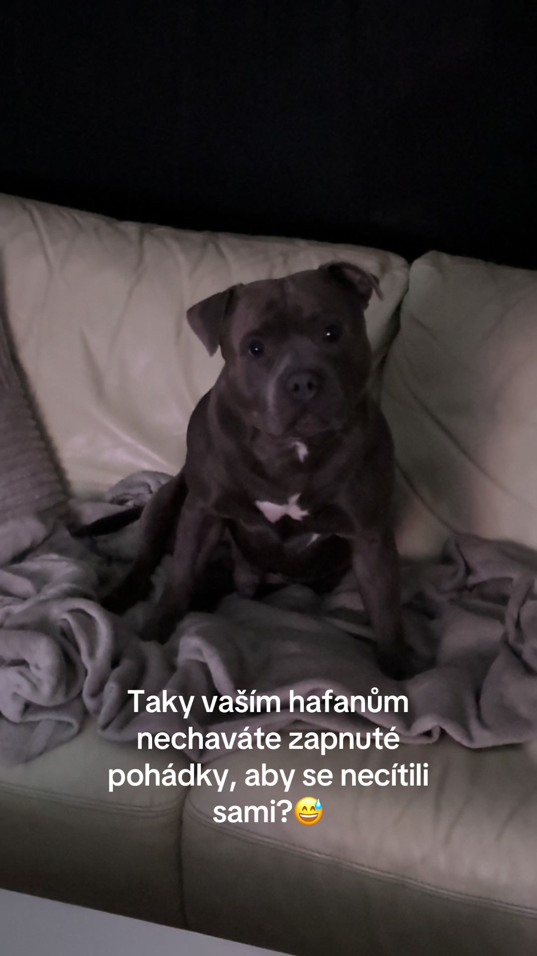 @Beast animal