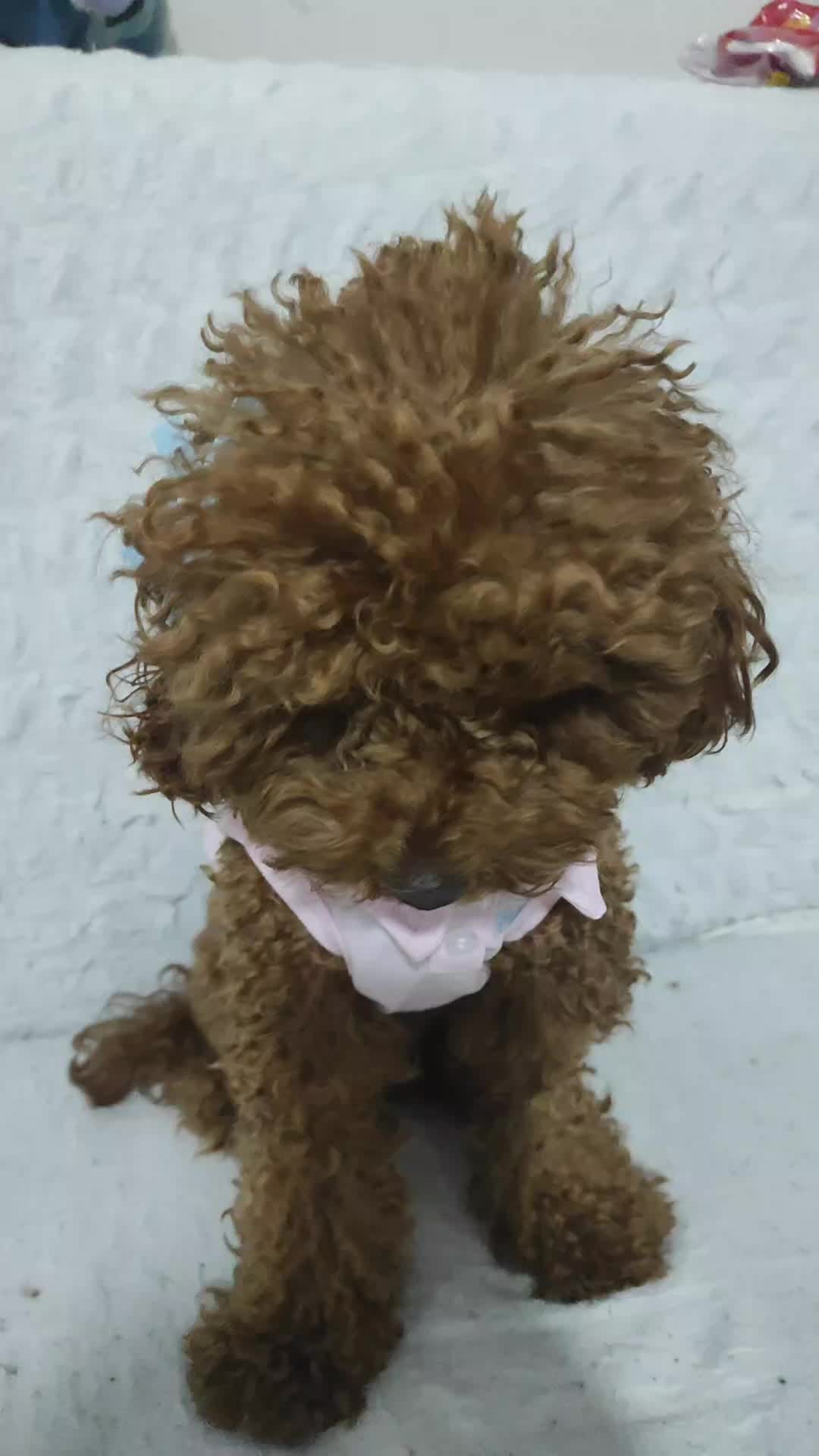 @❤️