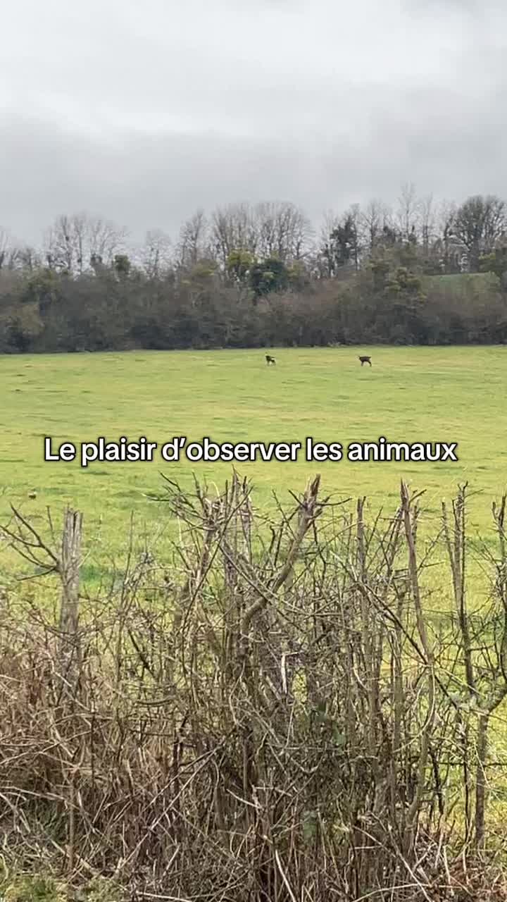 @lachasse_comtoise