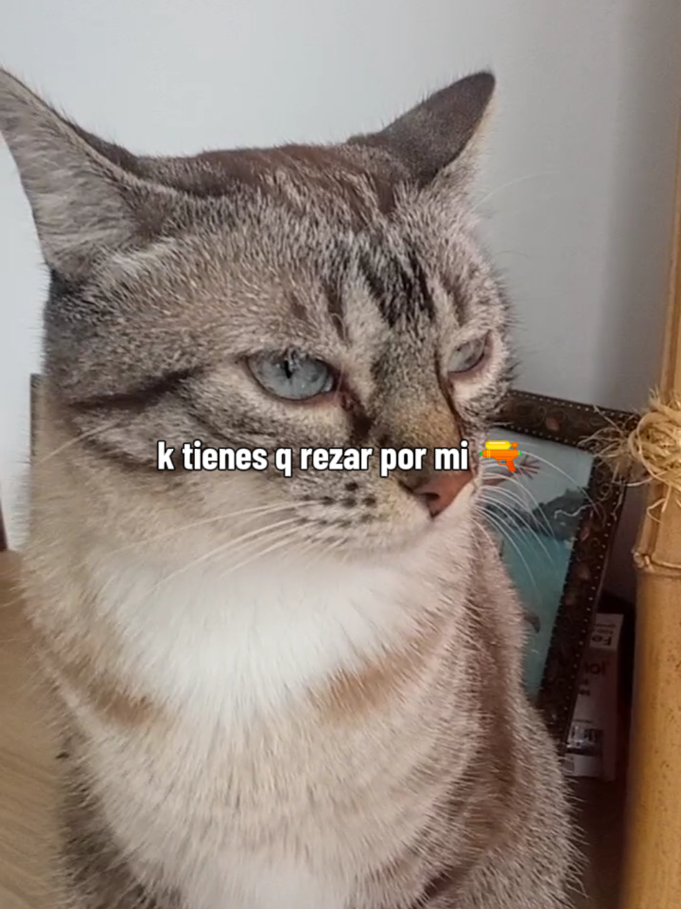 @Be&ntilde;atilonguis