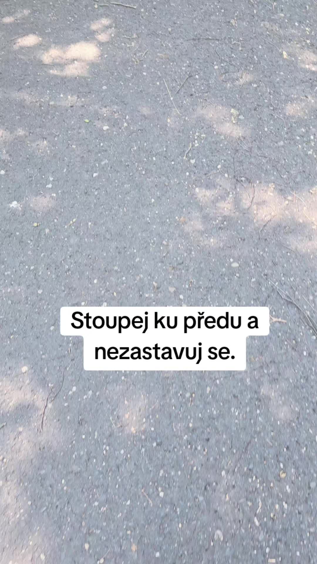 @♡ 𝕃&aacute;𝕤𝕜𝕒_𝕔𝕚𝕥&aacute;𝕥𝕪 ♡