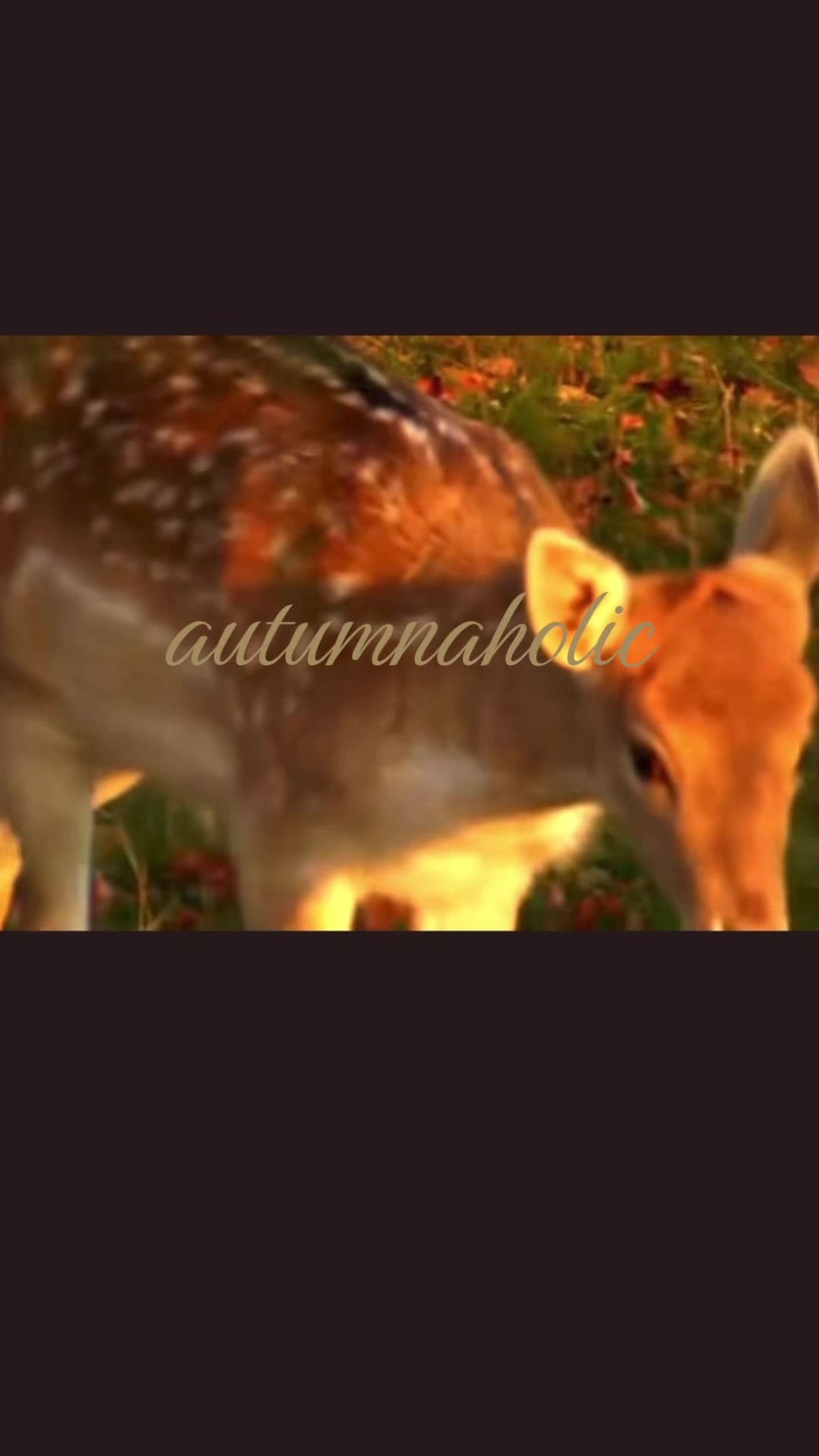 @๐