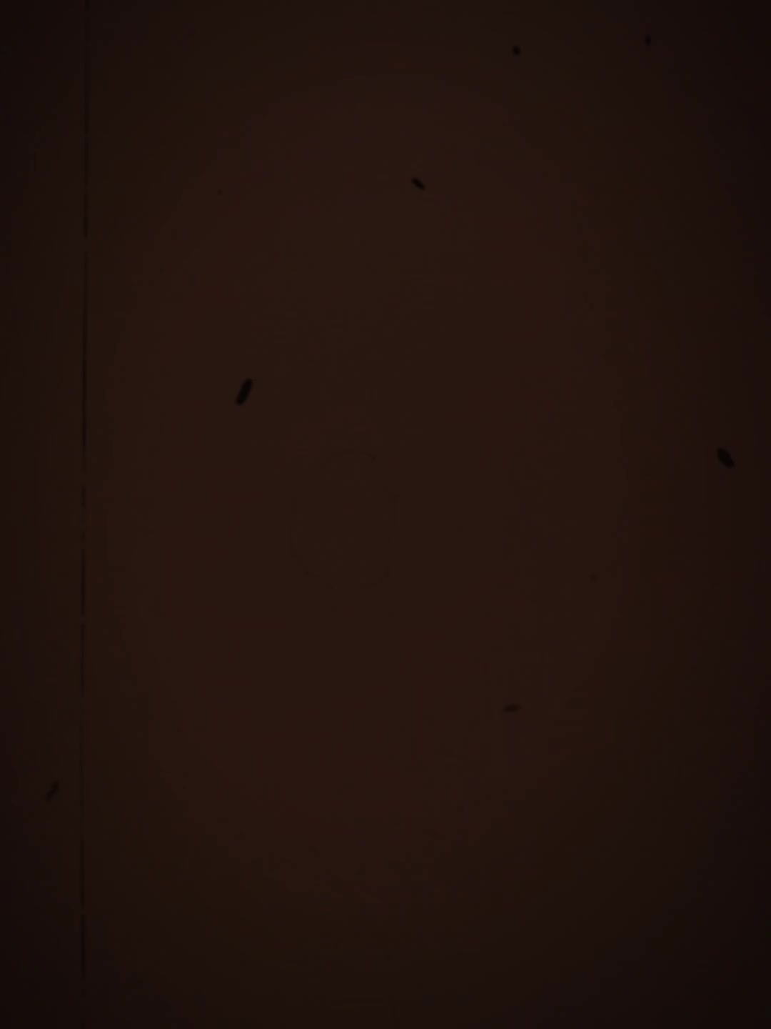 @skkhan