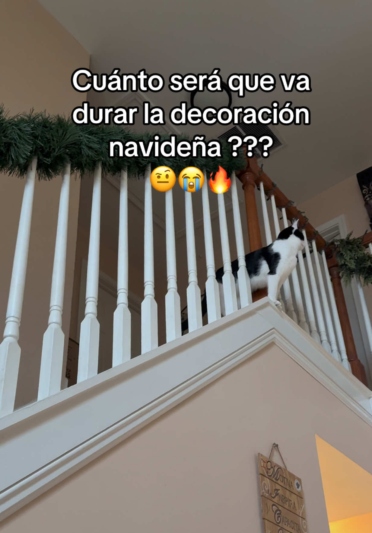@Luna🌙 y Sol☀️