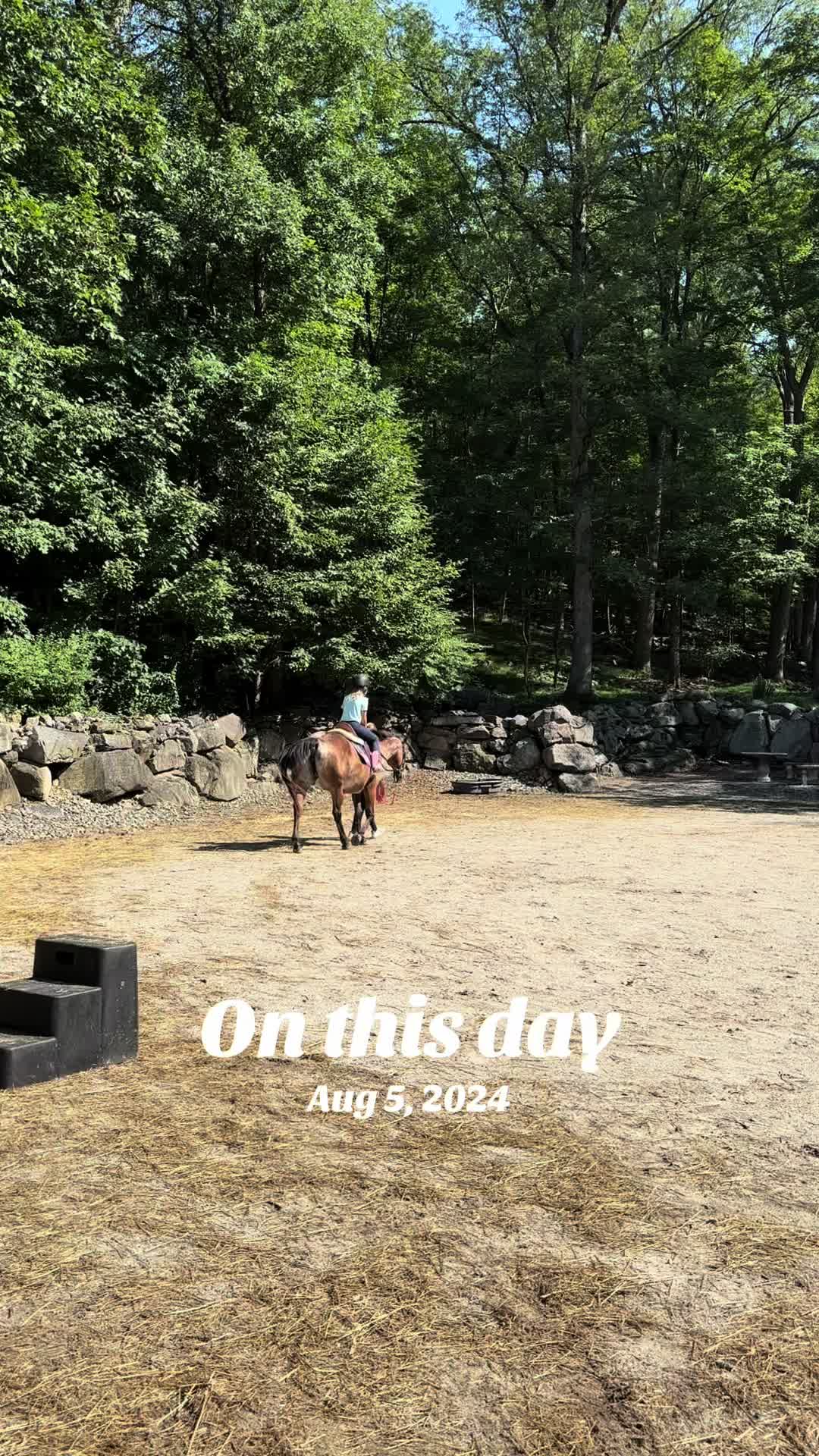 @itiswellstables