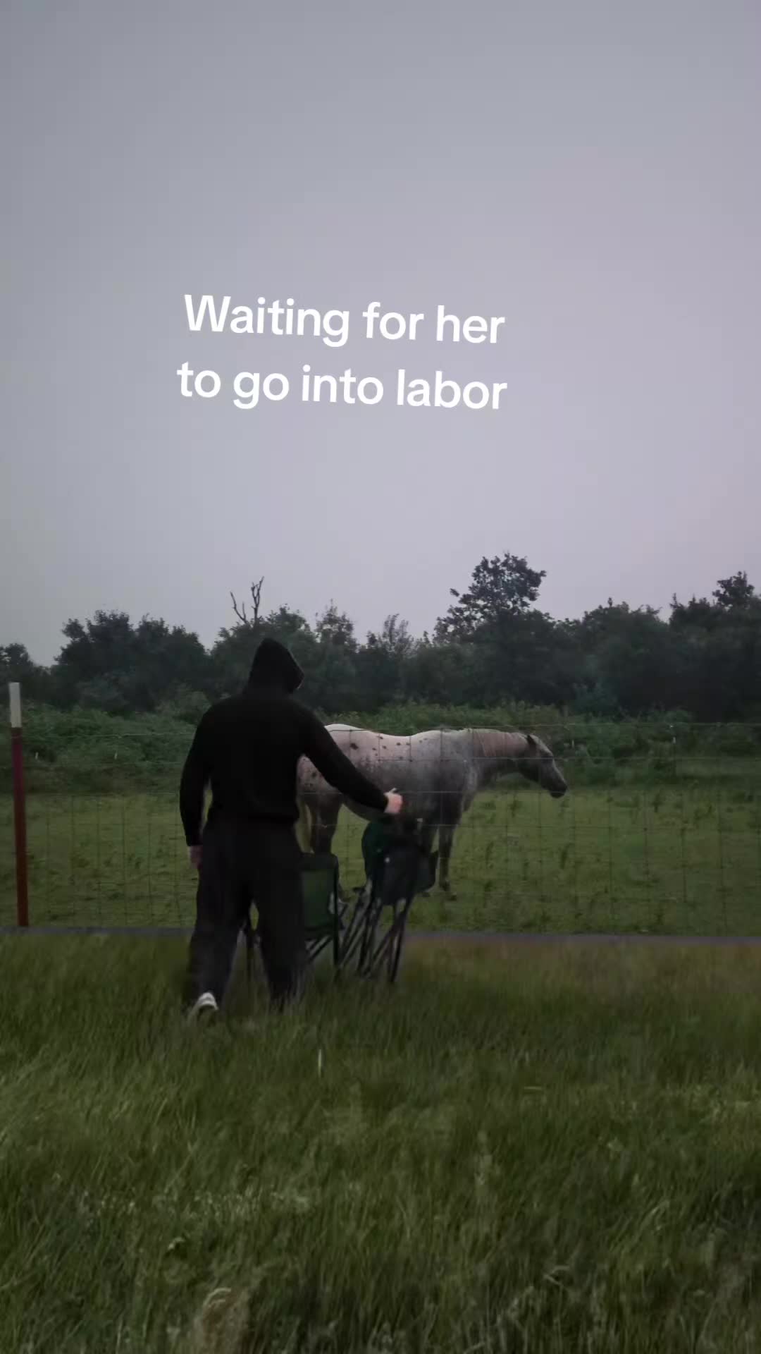 @pussnboots4555