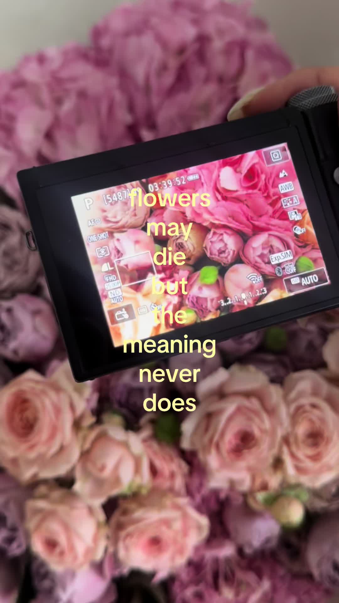@kristina