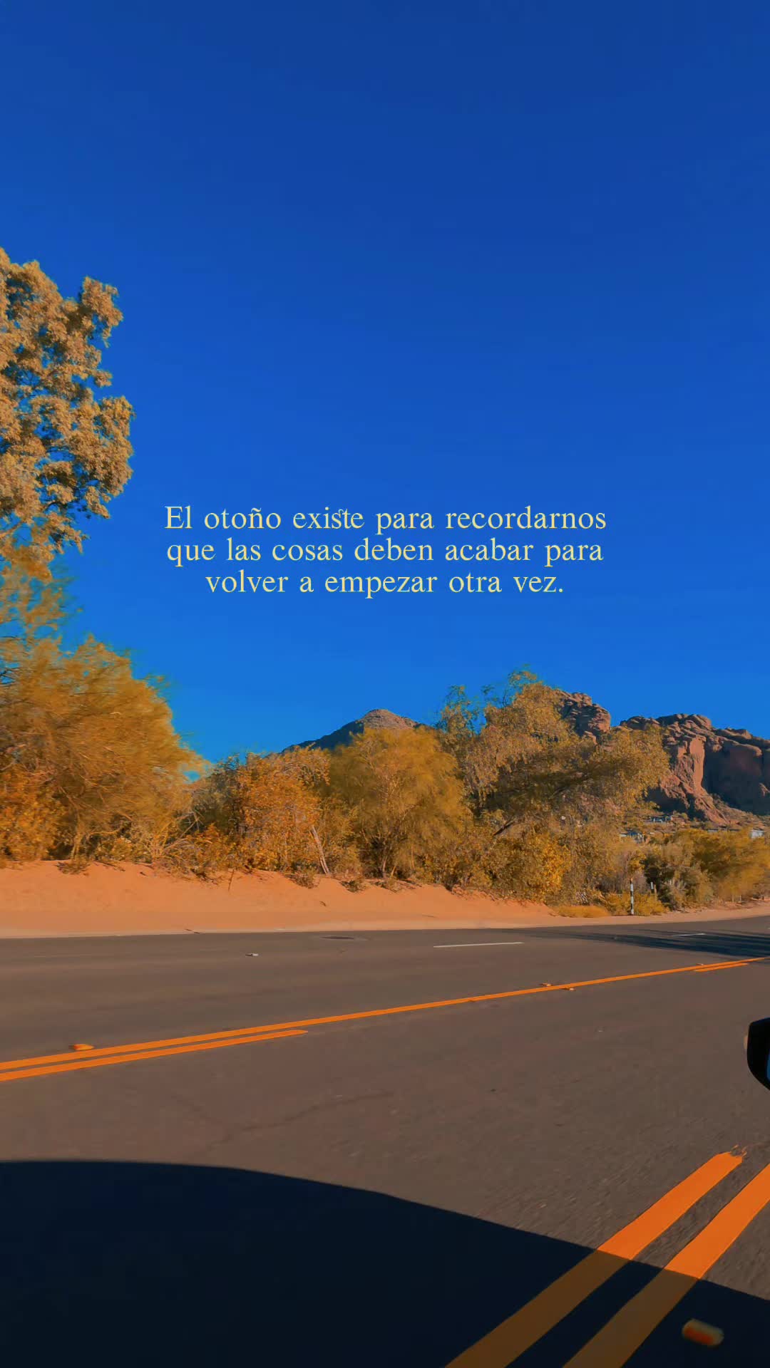 @𝐂𝐫𝐢𝐬𝐭𝐚𝐥𝐕𝐚𝐧𝐞𝐬𝐬𝐚✨️
