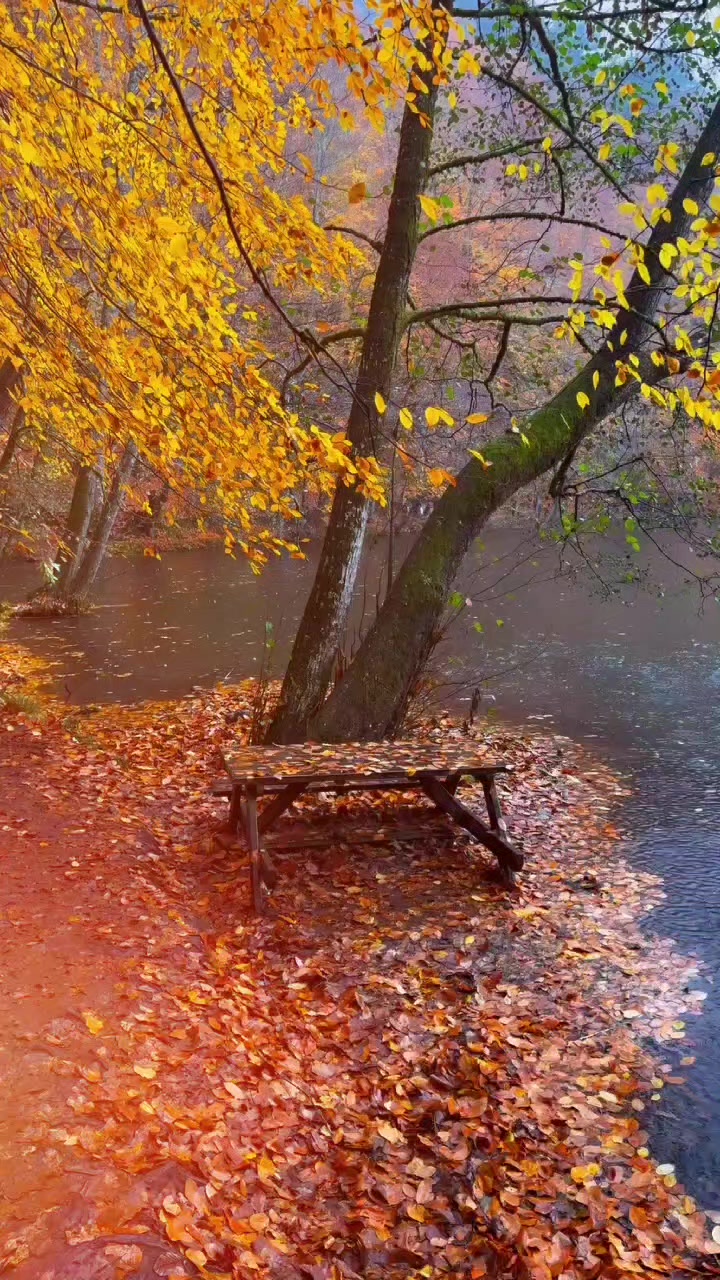 @adoraci&oacute;n🕊🕊🌧🇮🇱