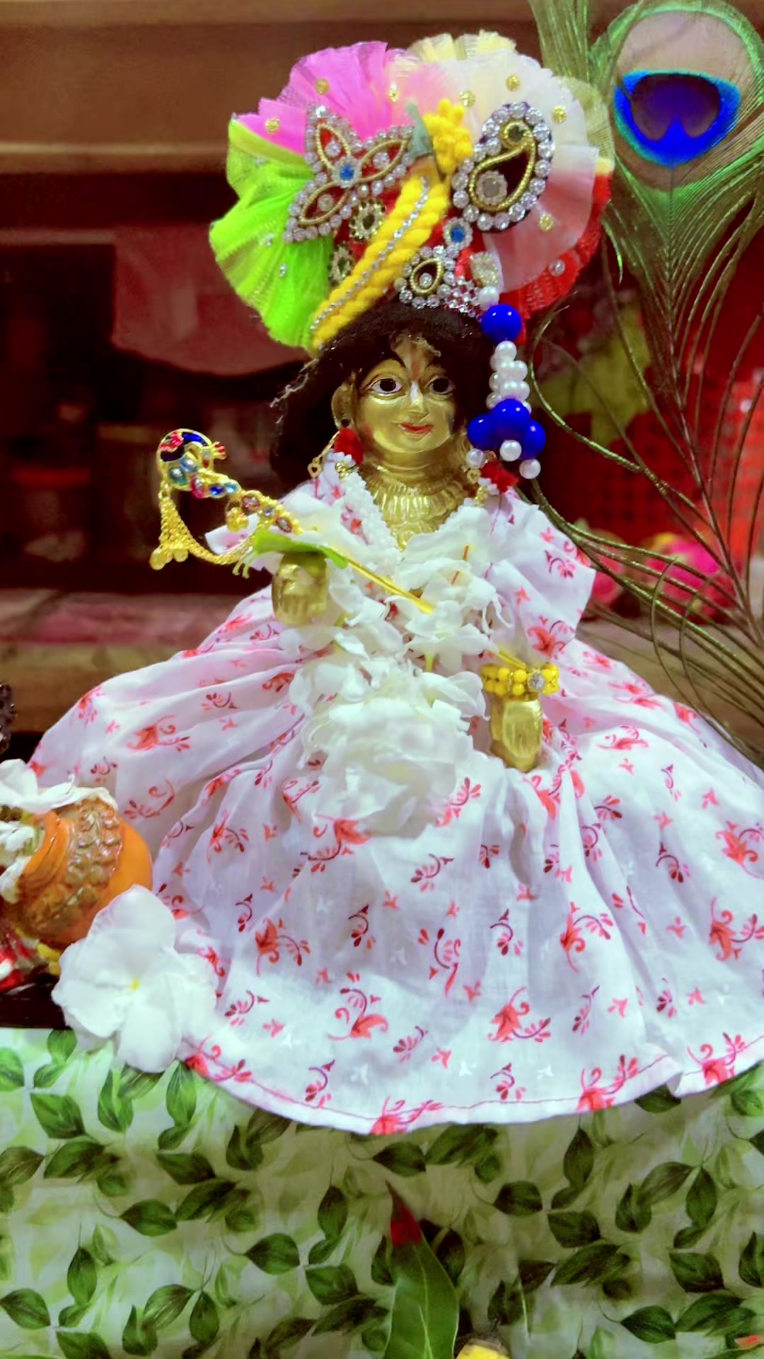 @đ§đŠprema Roy Pujađ¸đŦđ˛đž