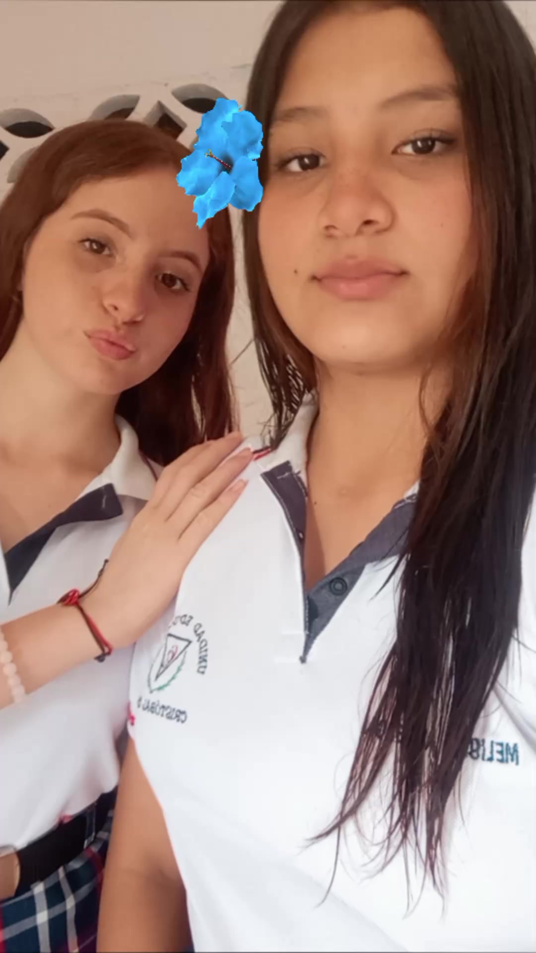 @PECAS🍄
