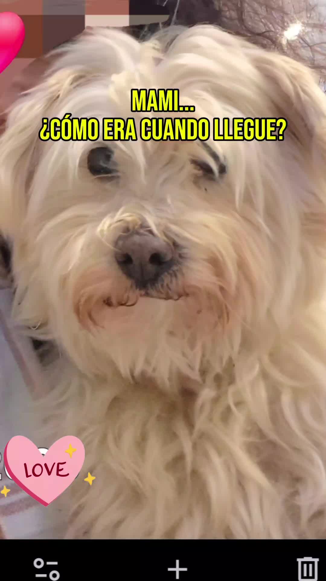 @lolis_amor❤️🔥