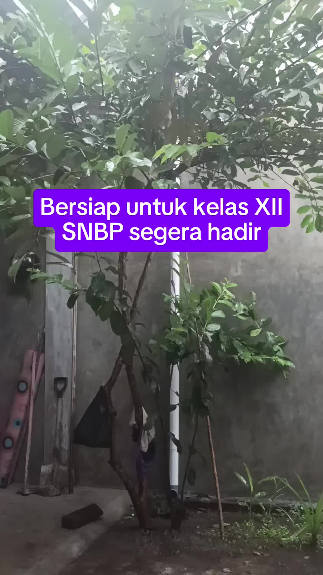 @hendrupw88